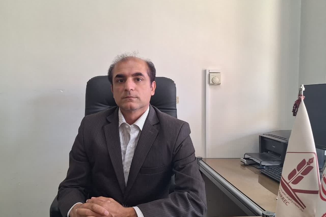 معاون برنامه ریزی و پشتیبانی