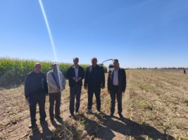 بازدید میدانی از وضعیت کشت پاییزه در شهرستان رشتخوار