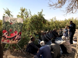 انتقال آخرین دستاوردهای تحقیقاتی انار به باغداران