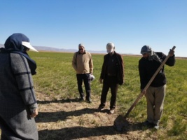 پایش مزارع زعفران شهرستان زاوه