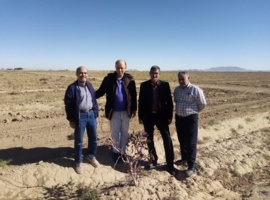 بازدید میدانی از باغات پسته و زعفران ایستگاه تحقیقات و آموزش کشاورزی و منابع طبیعی گناباد