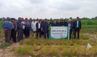 تحقق شعار «سال آموزش و ترویج تات» مستلزم حضور مستمر محققان در کنار بهره برداران