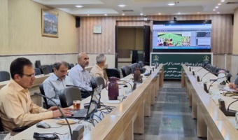جای خالی ذرت دانه ای در خراسان رضوی