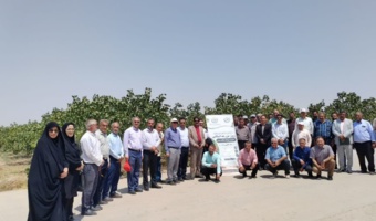 برگزاری روز مزرعه استانی پسته در مه ولات