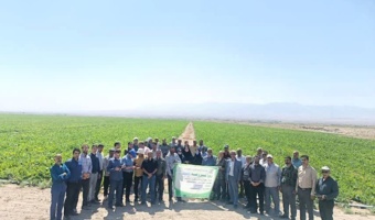 مراسم روز مزرعه استانی چغندرقند در شهرستان تربت‌جام