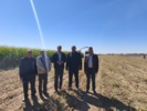 بازدید میدانی از وضعیت کشت پاییزه در شهرستان رشتخوار