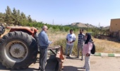 کارگاه عملی سنجش مهارت های کشاورزی با همکاری مرکز تحقیقات و آموزش کشاورزی و منابع طبیعی خراسان رضوی برگزار شد