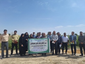 اجرای طرح ملی سازگاری و مقایسه عملکرد لاین های جدید کنجد متحمل به ریزش با همکاری مرکز