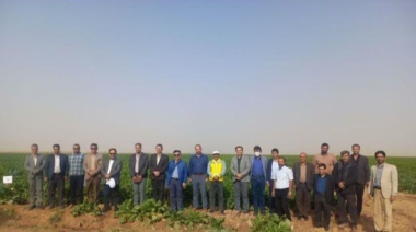 وابستگی به بذر خارجی به حداقل می رسد