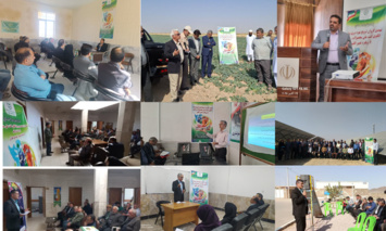 نهمین کـاروان ترویـج بهره وری ویژه ی الگوی کشت ملی محصولات زراعی پاییزه در خراسان رضوی