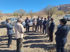 بازدید رئیس موسسه ی تحقیقات علوم باغبانی کشور از بادامستان های دیم کوهسرخ
