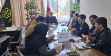 کمیته فنی دام