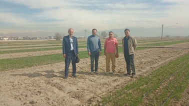 بازدید از پروژه ملی در کرج