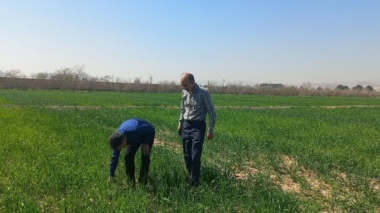 بازدید از پروژه  ملی ارزیابی  توالی در  نظامهای زراعی مرسوم و کم نهاده