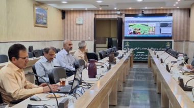 جای خالی ذرت دانه ای در خراسان رضوی