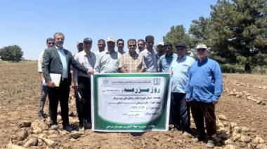 برگزاری مراسم روز مزرعه چغندرقند پاییزه در شهرستان سرخس