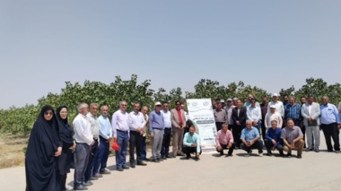 برگزاری روز مزرعه استانی پسته در مه ولات