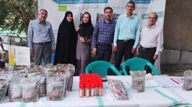 هشتمین جشنواره برداشت سماق در روستای خانیک بخش کاخک شهرستان گناباد